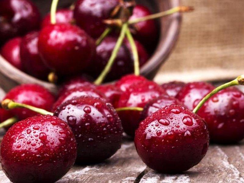 Вишня купить саженцы из питомника в Нижнем Тагиле